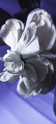 Similar image 22735467
