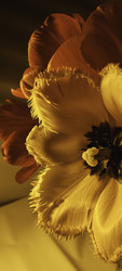 Similar image 22735468