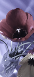 Similar image 22735469