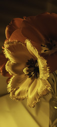 Similar image 22735470