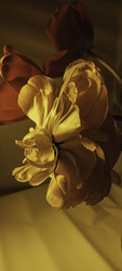 Similar image 22735356