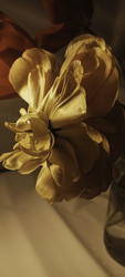 Similar image 22735357