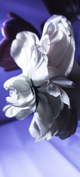 Similar image 22735359