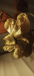 Similar image 22735360