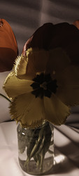 Similar image 22735361