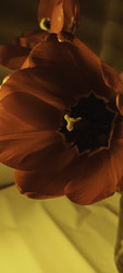 Similar image 22735362