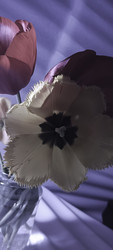 Similar image 22735368
