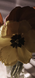 Similar image 22735369
