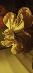 Similar image 22735370