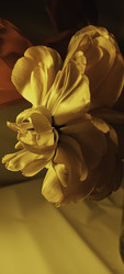 Similar image 22735371