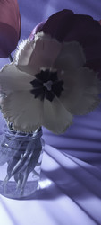Similar image 22735372