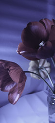 Similar image 22735373