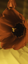 Similar image 22735374