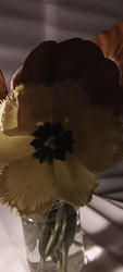 Similar image 22735375