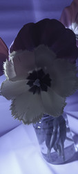 Similar image 22735376