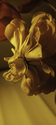 Similar image 22735377