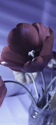 Similar image 22735378