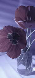 Similar image 22735380
