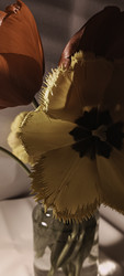 Similar image 22735381