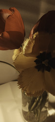 Similar image 22735382