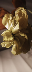 Similar image 22735383