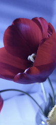 Similar image 22735385