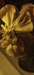 Similar image 22735388
