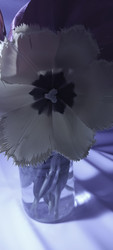 Similar image 22735389