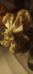 Similar image 22735392