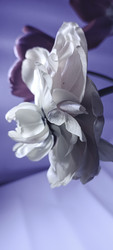Similar image 22735393
