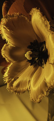 Similar image 22735394
