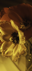 Similar image 22735395