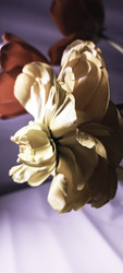 Similar image 22735396
