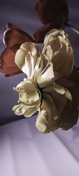 Similar image 22735397
