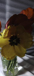 Similar image 22735398