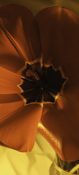 Similar image 22735399