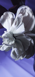 Similar image 22735400