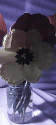 Similar image 22735401