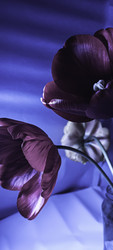 Similar image 22735403