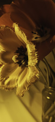 Similar image 22735404