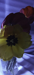 Similar image 22735405