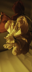 Similar image 22735406