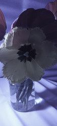 Similar image 22735408