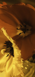 Similar image 22735410