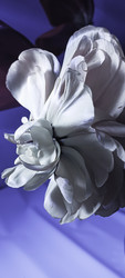 Similar image 22735411