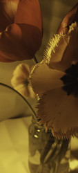 Similar image 22735412