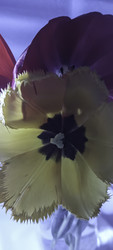 Similar image 22735413