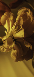 Similar image 22735414