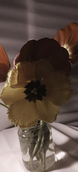 Similar image 22735415
