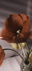 Similar image 22735416